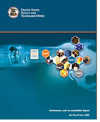 FY2005 report cover