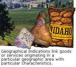 Geographical Indications link goods or services originating in a particular geographic area with particular characteristics