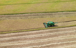 德克萨斯州农场的水稻收获
