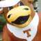 Photo of Texas Longhorn and Michigan State Sparty mascot inflatables.