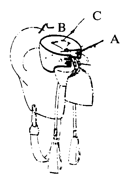 A-Main saddle horn; B- Main saddle cantle; C-Child"s saddle
