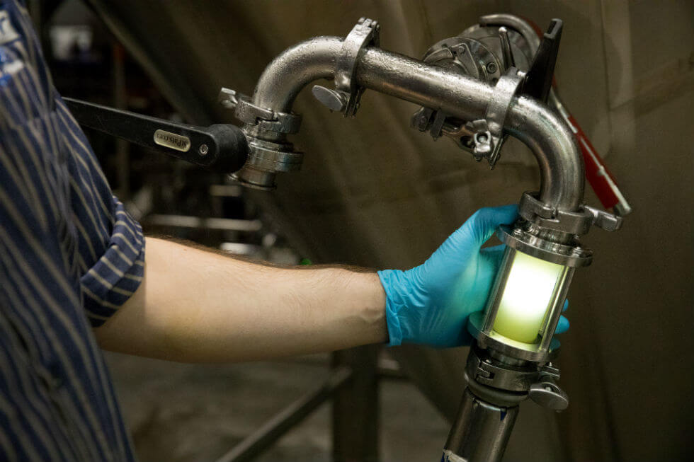 Image: a brewer checks the clarity of finished beer from fermentation vessel to bright tank