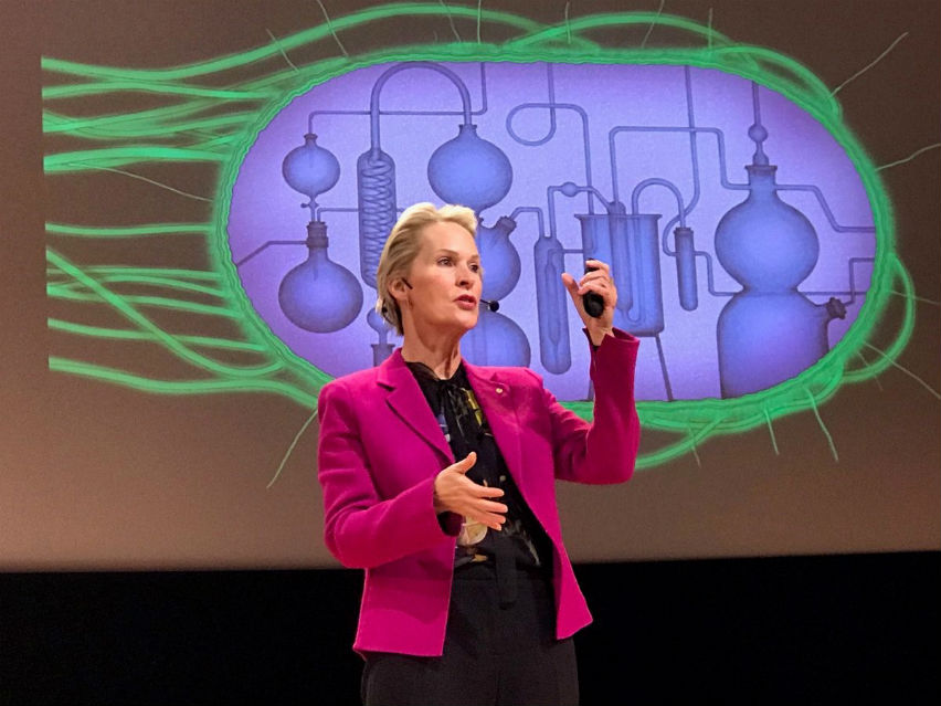 Image: Frances Arnold discusses her work during her Nobel lecture in Stockholm, Sweden.