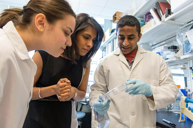 Sangeeta Bhatia and two students examine a specimen in her lab.
