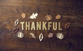 Thankful for the 12,000+ USPTO employees this Thanksgiving!