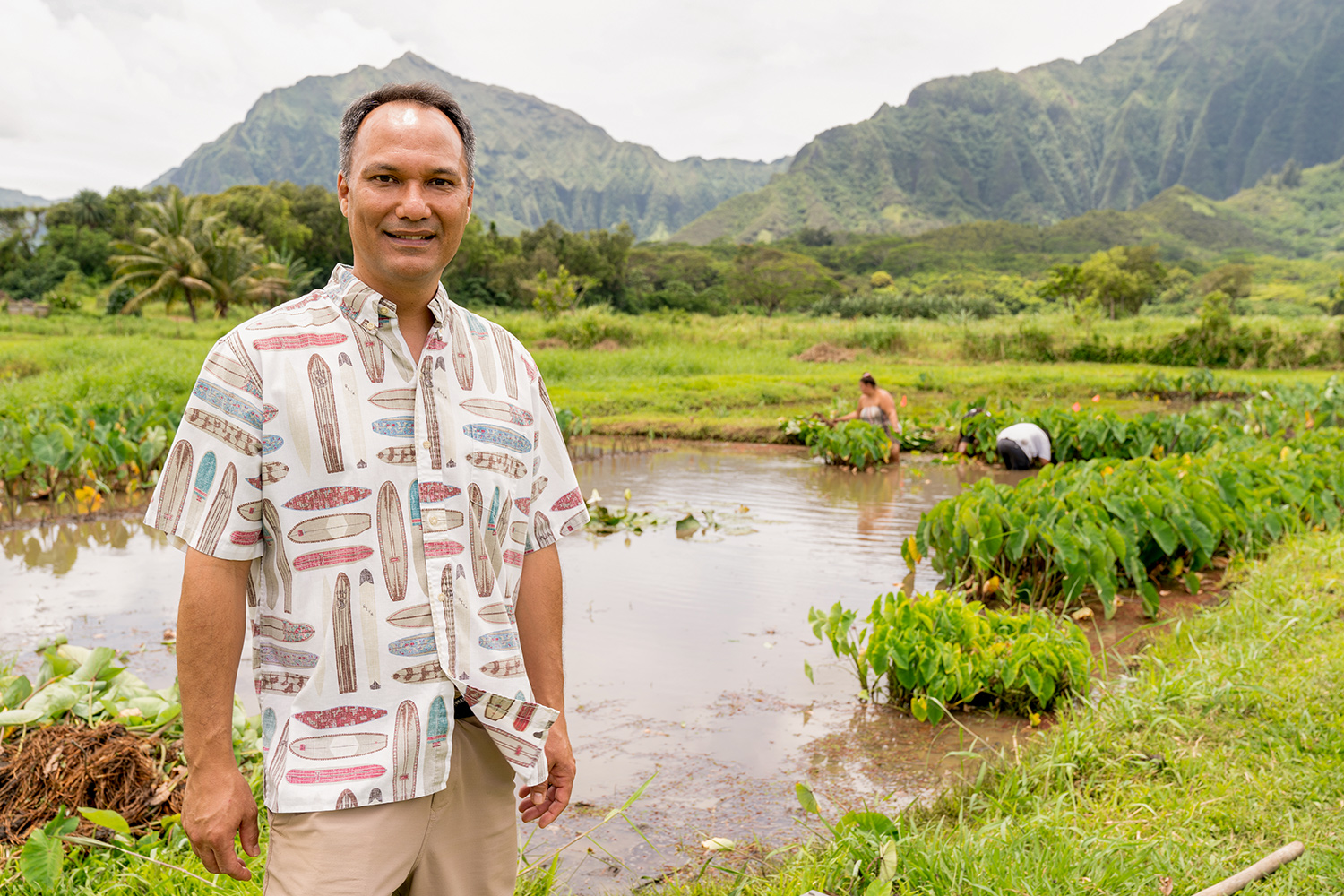 A man stands in front of an aquatically-cultured taro field in Hawaii with mountains in the background