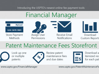 Financial Manager Patent Maintenance Fees storefront infographic