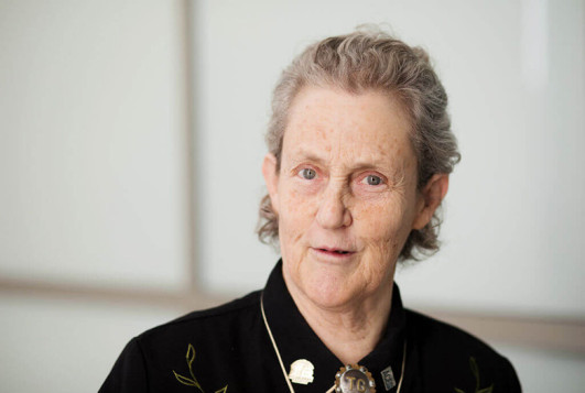 Portrait of Temple Grandin