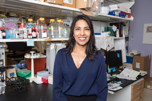 Sangeeta Bhatia is pictured in front of a shelf filled with bottles and other lab equipment.