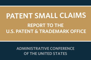 Report cover for Patent Small Claims