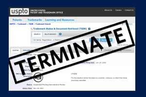  The Trademark System and Document Retrieval system home page with the word “TERMINATE” in all caps stamped on top. 