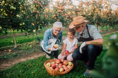 An apple orchard surrounds the image and fades into the background. In the center, a farmer and their family are smiling and kneeling together holding apples over a basket of apples. 