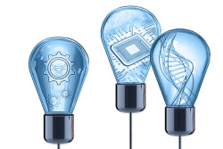 Engineering, technology, and biology illustrations seen within three separate lightbulbs