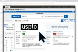 Trademark Search interface showing the search results for "USPTO"