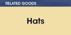 Related goods -- Hats