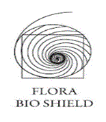 Serial No. 88346169 Mark