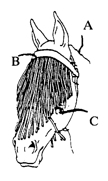 A- Horsehead; B- Brow band; C- Face guard strands
