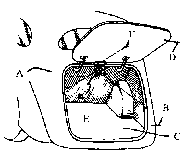 A - Car body; B - Rear panel; C - Trunk; D - Trunk door;E - Illuminating means; F - Support bracket
