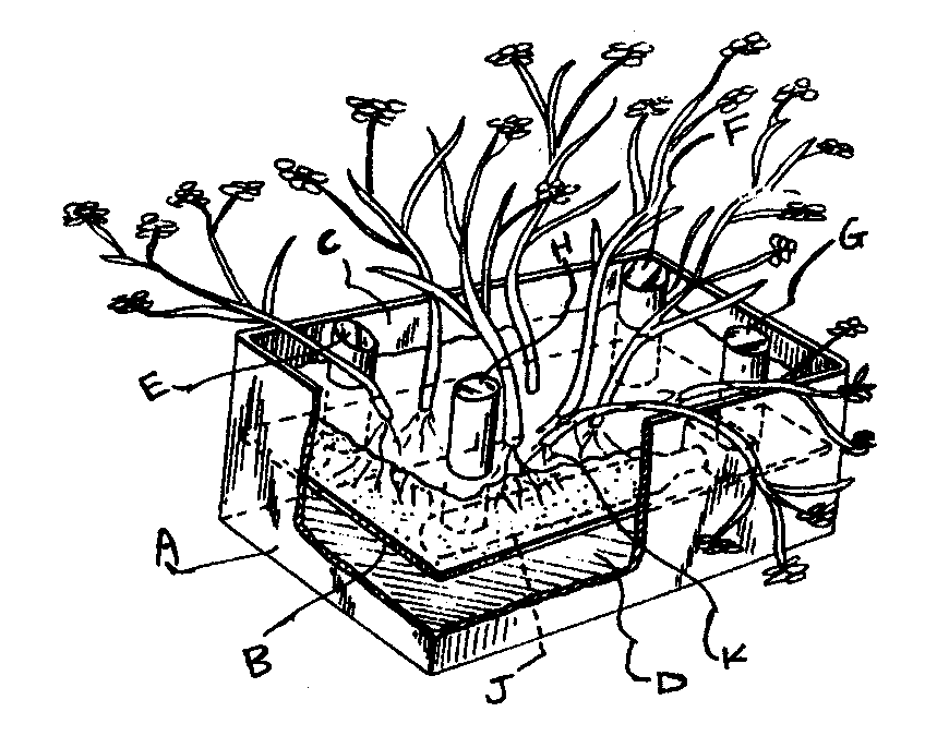   Figure 1: A typical example of the subject matter. A- Plant box; B - Box partition or false bottom to support plant;C - Upper box cavity or planter; D - Lower box cavity or light chamber;E, F, G, H - Light conductive pipes or rods each having lower lightreceiving edge and upper light emitting edge; J - Light source;K - Soil level.  Note:  The upper light emitting edges protrude abovethe level 'K' of the top soil and face the plantto be illuminated.
