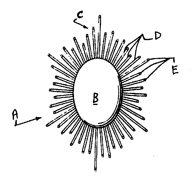   Figure 1: A typical example of the subject matter. A- Jewelry pin; B - Central decorative dome; C, D -  Array of opticalfibers projecting radially from 'B'; E - Outer tipsof optical fibers angled to face away from the person wearing thepin
