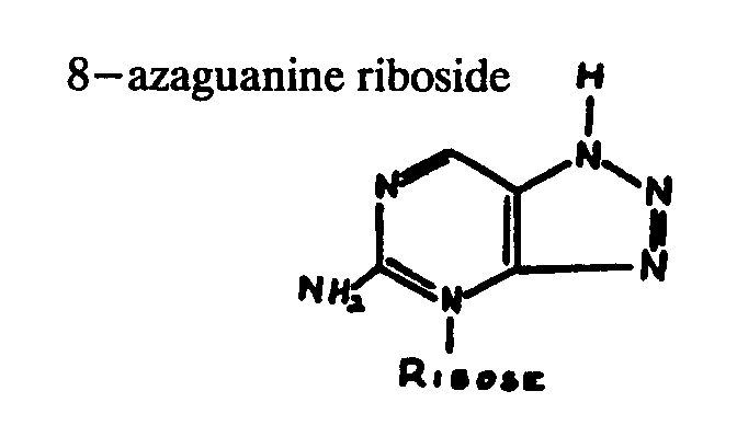  or 8-azaguanine riboside
