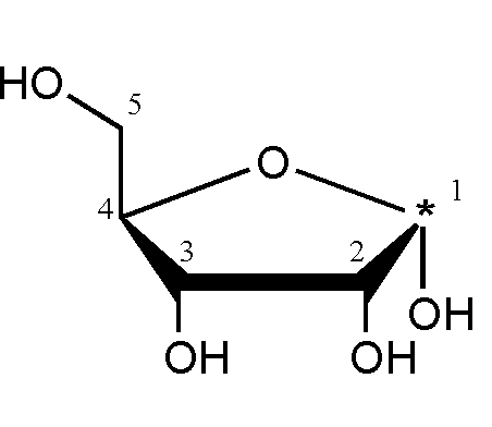 a-D-ribose D-ribofuranose [5]
