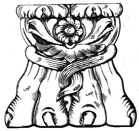 Figure 1. Example of a design for a hairy paw foot.   
