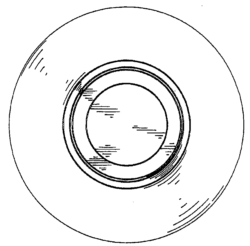 Example of a design or a food server that is circular.

