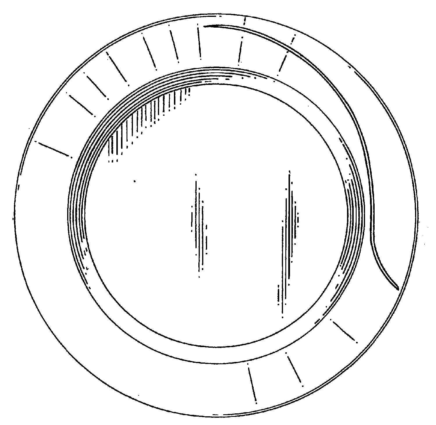 Example of a design for a food server that shows a peripheralor border pattern.
