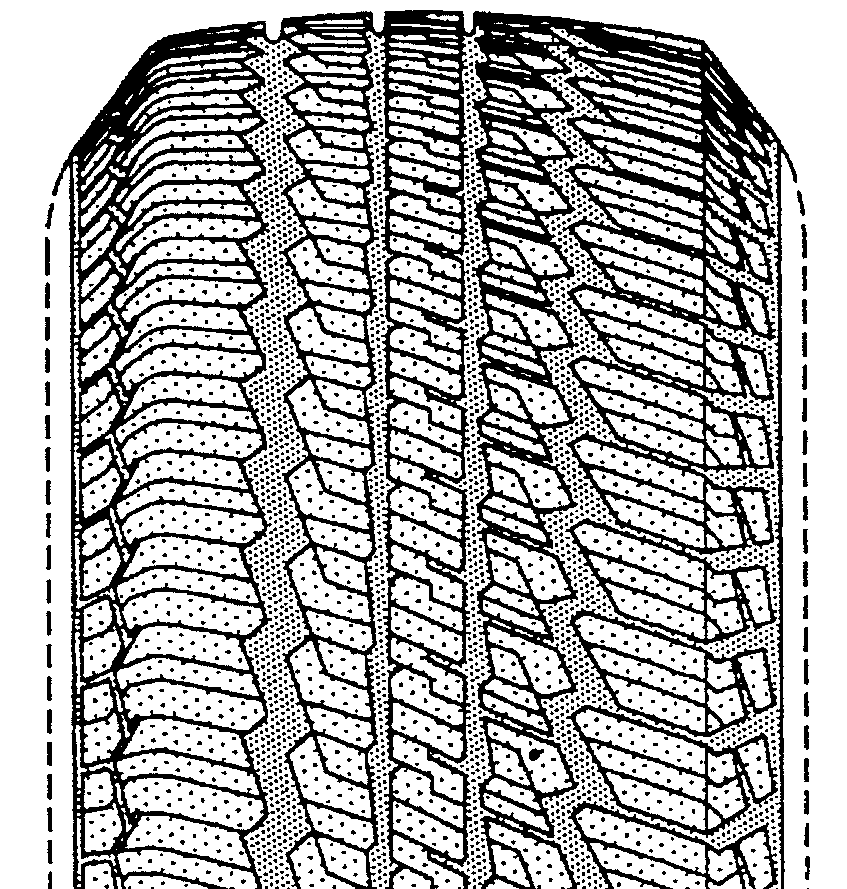 Example of uninterrupted circumferential rib fully transectedby sipe.

